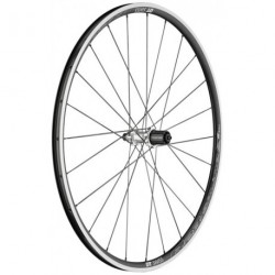 Ruota post. DT Swiss R 23 Spline 28'