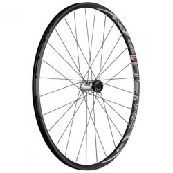 V-Ruota DT Swiss XM 1501 Spline1 29'