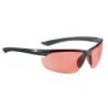 Occhiale da sole Alpina Draff
