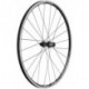 Ruota post. DT Swiss R 24 Spline 28'