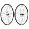 R.post. DT Swiss XM 1501 Spline One 29'