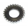 Disco dentato